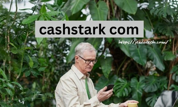 CashStark com: Everything You Need to Know About This Online Platform